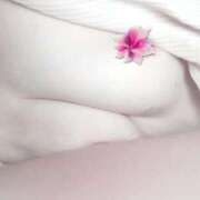 ヒメ日記 2025/07/11 06:06 投稿 西田みさき 月の真珠-五反田-