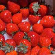 ヒメ日記 2025/05/28 03:15 投稿 まりん 本庄デリヘル！奇跡のビンビン学園