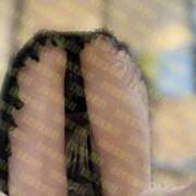 ヒメ日記 2026/04/01 15:22 投稿 ヒカリ 1ROUND