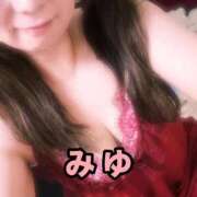 ヒメ日記 2025/12/08 13:25 投稿 みゆ 横浜熟女MAX