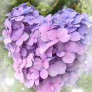 ヒメ日記 2025/06/16 21:08 投稿 なごみ 熟女家 十三店