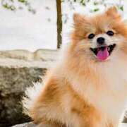 ヒメ日記 2025/04/23 21:25 投稿 そら 完熟ばなな 横浜