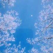 ヒメ日記 2025/04/27 07:33 投稿 そら 完熟ばなな 横浜