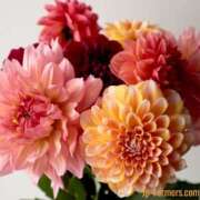 ヒメ日記 2025/06/13 20:39 投稿 そら 完熟ばなな 横浜