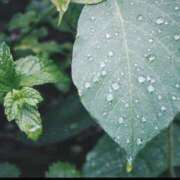 ヒメ日記 2025/05/31 16:23 投稿 そら 完熟ばなな川崎