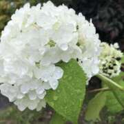 ヒメ日記 2025/06/03 20:52 投稿 そら 完熟ばなな川崎