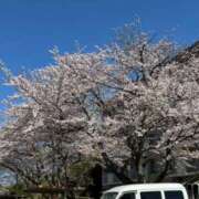 大西 お礼 ミセスの手ほどき