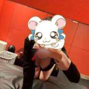 ヒメ日記 2025/05/24 20:36 投稿 こゆき ドMな逆バニーちゃん　すすきの店