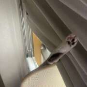 ヒメ日記 2025/06/10 11:46 投稿 川口 AROMA VENUS