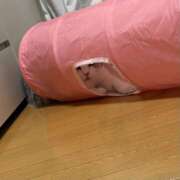 ヒメ日記 2025/08/27 00:21 投稿 川口 AROMA VENUS