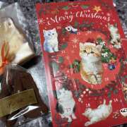 ヒメ日記 2025/11/10 13:40 投稿 川口 AROMA VENUS