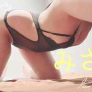 ヒメ日記 2026/03/15 14:00 投稿 ミサ Garter Princess＆Mrs（ガータープリンセス＆ミセス）