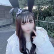 ヒメ日記 2025/05/08 19:47 投稿 るり 黒い金魚（札幌）