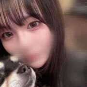 ヒメ日記 2025/09/22 14:30 投稿 るり 黒い金魚（札幌）