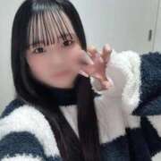 ヒメ日記 2026/04/14 01:20 投稿 るり 黒い金魚（札幌）