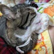 ヒメ日記 2025/04/23 15:59 投稿 すず One More 奥様　西川口店