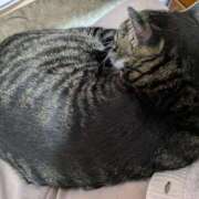 ヒメ日記 2025/04/24 10:11 投稿 すず One More 奥様　西川口店