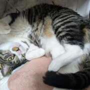 ヒメ日記 2025/04/28 10:05 投稿 すず One More 奥様　西川口店