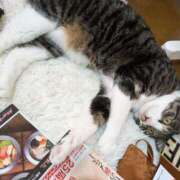 ヒメ日記 2025/05/02 10:21 投稿 すず One More 奥様　西川口店