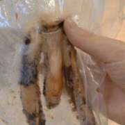 ヒメ日記 2025/05/18 12:49 投稿 すず One More 奥様　西川口店