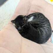 ヒメ日記 2025/07/03 19:01 投稿 すず One More 奥様　西川口店