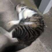 ヒメ日記 2025/07/05 09:51 投稿 すず One More 奥様　西川口店