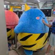 ヒメ日記 2025/08/01 12:21 投稿 すず One More 奥様　西川口店