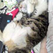 ヒメ日記 2025/08/07 11:58 投稿 すず One More 奥様　西川口店