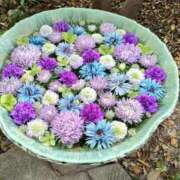 ヒメ日記 2025/08/11 11:23 投稿 すず One More 奥様　西川口店