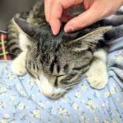 ヒメ日記 2025/09/05 16:39 投稿 すず One More 奥様　西川口店