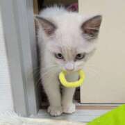 ヒメ日記 2025/10/08 21:25 投稿 すず One More 奥様　西川口店