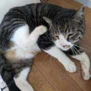 ヒメ日記 2025/11/28 19:25 投稿 すず One More 奥様　西川口店