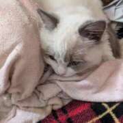 ヒメ日記 2025/12/02 16:04 投稿 すず One More 奥様　西川口店