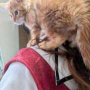 ヒメ日記 2026/01/10 14:27 投稿 すず One More 奥様　西川口店