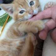 ヒメ日記 2026/01/17 12:44 投稿 すず One More 奥様　西川口店