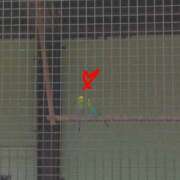 ヒメ日記 2025/08/03 20:05 投稿 のん 甲府人妻城