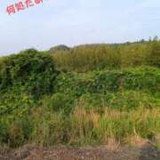 ヒメ日記 2025/05/20 06:32 投稿 乃亜-のあ【FG系列】 ほんつま千葉店（FG系列）