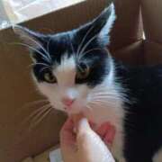 ヒメ日記 2025/05/20 08:34 投稿 乃亜-のあ【FG系列】 ほんつま千葉店（FG系列）