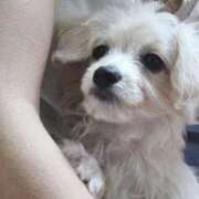 ヒメ日記 2025/05/20 19:36 投稿 乃亜-のあ【FG系列】 ほんつま千葉店（FG系列）