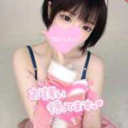 ヒメ日記 2025/08/24 07:20 投稿 もね 黒い金魚（札幌）