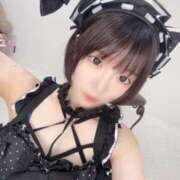 ヒメ日記 2025/10/10 05:40 投稿 もね 黒い金魚（札幌）