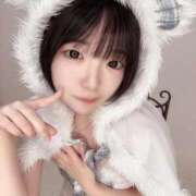 ヒメ日記 2025/10/24 16:50 投稿 もね 黒い金魚（札幌）