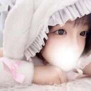 ヒメ日記 2025/10/29 15:20 投稿 もね 黒い金魚（札幌）