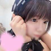 ヒメ日記 2025/11/06 11:20 投稿 もね 黒い金魚（札幌）