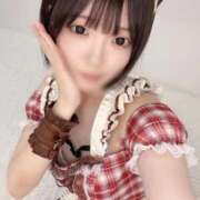 ヒメ日記 2025/11/13 12:20 投稿 もね 黒い金魚（札幌）