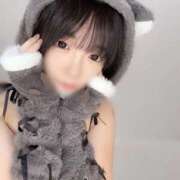 ヒメ日記 2025/11/16 11:20 投稿 もね 黒い金魚（札幌）