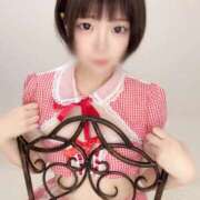 ヒメ日記 2025/11/20 12:20 投稿 もね 黒い金魚（札幌）