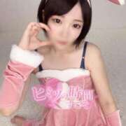 ヒメ日記 2025/11/20 16:00 投稿 もね 黒い金魚（札幌）