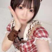 ヒメ日記 2025/12/01 11:20 投稿 もね 黒い金魚（札幌）