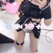 ヒメ日記 2026/01/18 10:20 投稿 もね 黒い金魚（札幌）